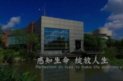 公司简介